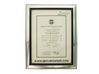 CHINA Foshan Rayson Global CO., Ltd certificaten