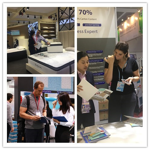 30cm van het de Matrasbroodje van het Hotelbed van het het Geheugenschuim van de het Beddoos van de de Zaklente de Matraseuro 12